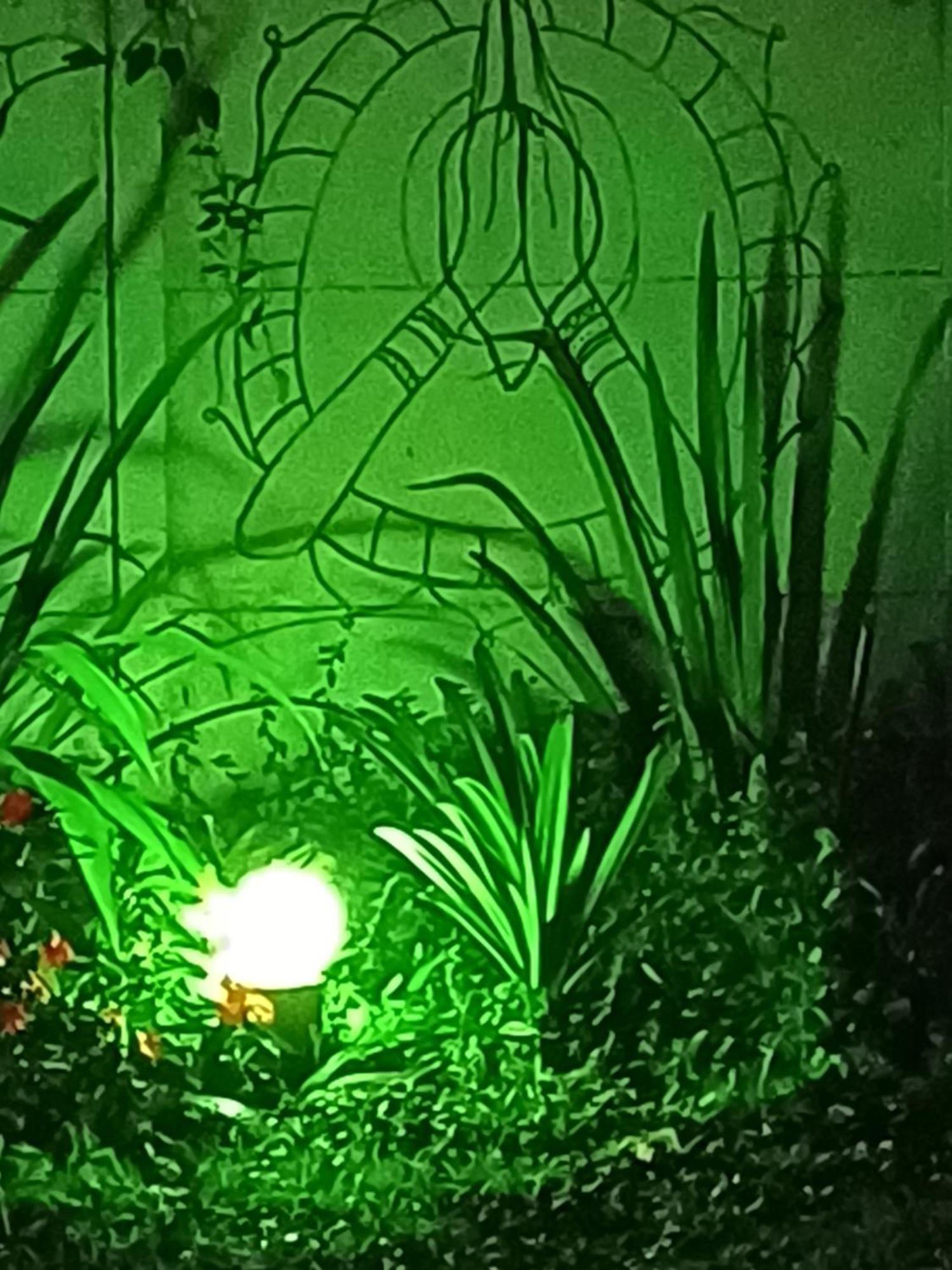 Hospedagem Namaste Visconde De Maua Dış mekan fotoğraf